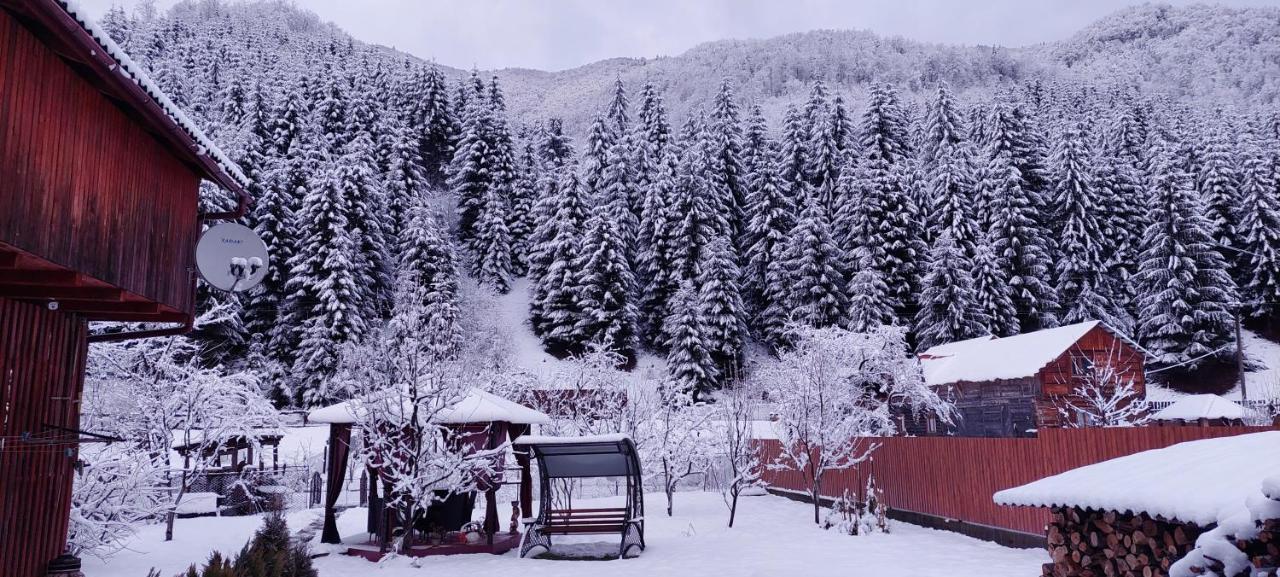 Садиба Квітка Карпат Ruska Mokra Exterior photo